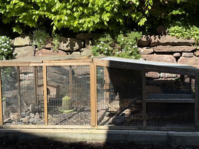 Picture 31